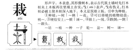 栽造詞|栽的意思，栽字的意思